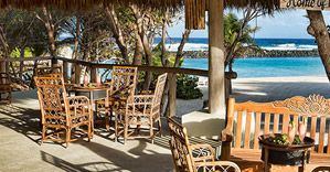 Iguana Cove- Tortuga Bay Hotel Punta Cana Resort & Club - Dominican Republic